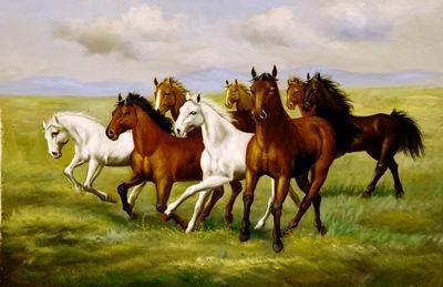  Horses 025